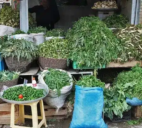 گیاهان بهاری و خواص شگفت‌انگیز آنها